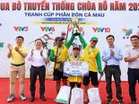 Hội đua bò Chùa Rô 2026 sôi động với 32 đôi bò tranh tài