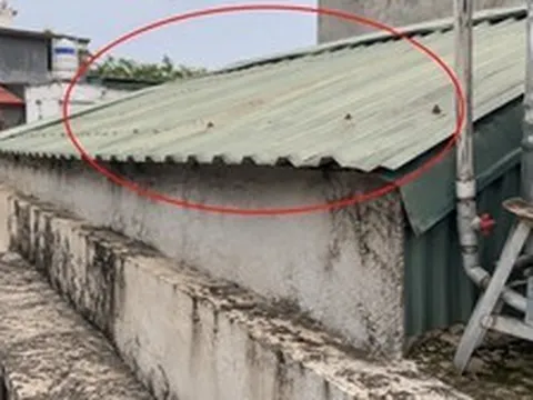 5 lời khuyên cho những gia đình lâu ngày chưa kiểm tra mái nhà