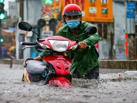 Tổng lãnh sự Hà Lan: TP.HCM cần tăng không gian thoát nước, tạo dòng chảy chống ngập