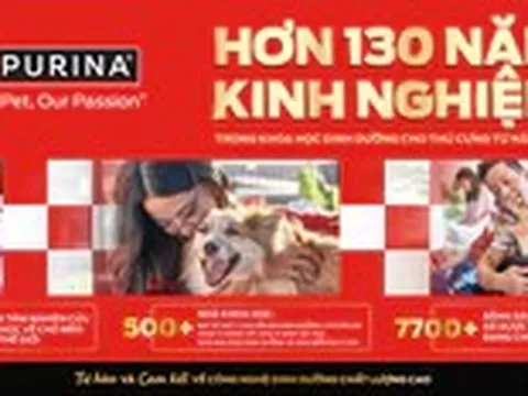 Những dấu hiệu cho thấy mèo đang được chăm sóc đúng cách