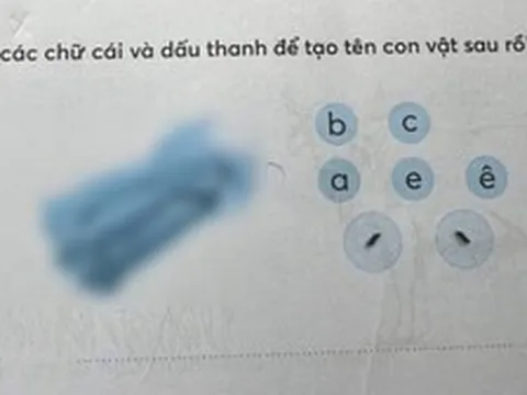 Con vật trong bài tập tiếng Việt này có gì "khác lạ" mà khiến 1 bà mẹ bức xúc, hội phụ huynh cũng vào cuộc tranh luận?