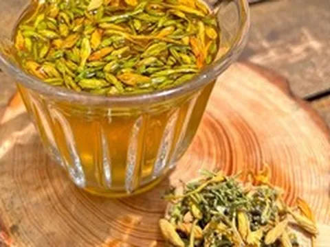 Uống hoa đu đủ chữa bệnh, người đàn ông 59 tuổi nhập viện gấp