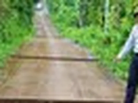 Mưa lớn, đường bê tông xuất hiện 8 vết nứt ngang, đất rẫy sụt lún ở Lâm Đồng