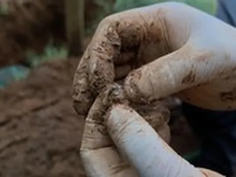 Phát hiện các hố đất sụt lún thành hàng ở Bãi Dinh, tìm được thêm 1 hài cốt liệt sĩ