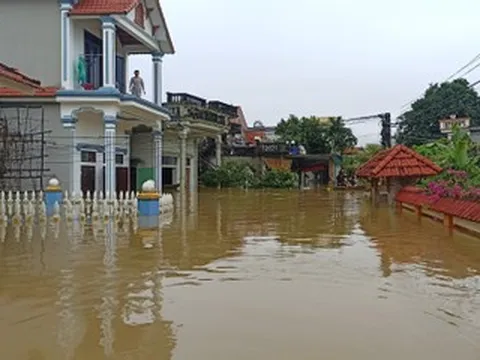 Nước sông dâng cao, hơn 3.000 hộ dân Ninh Bình 'chơi vơi' giữa dòng lũ