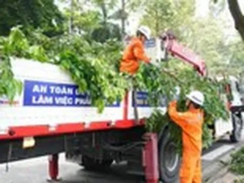 TP.HCM triển khai nhiều phương án an toàn điện mùa mưa bão