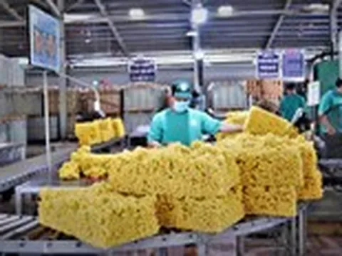 Doanh nghiệp ngành cao su lãi lớn nhờ đền bù đất