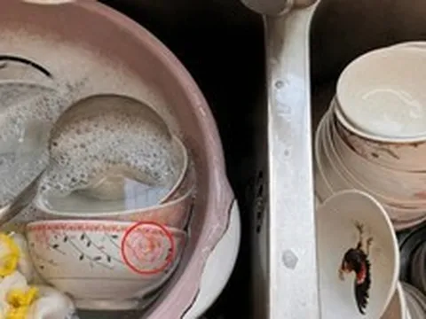 Lời khuyên cho những gia đình đang dùng bát đĩa sứ nhiều màu, nhiều họa tiết