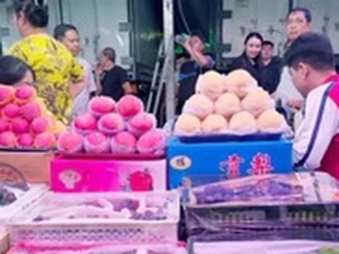 Giá cả đầu ngày: Rau Trung Quốc giá rẻ đổ về, nông dân miền Tây lo rau màu rớt giá