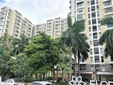 Chung cư có thời hạn sử dụng theo niên hạn công trình, nên xử lý sao với dự án 'trùm mền'?