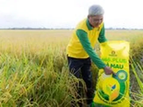 Canh tác lúa phát thải thấp ở Đồng Tháp: '3 giảm' để '2 tăng'
