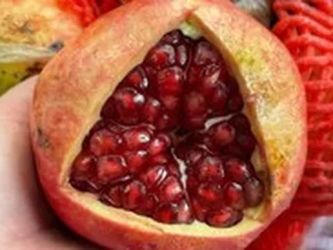 Những loại thức ăn hạn chế nguy cơ suy giảm nhận thức và sa sút trí tuệ