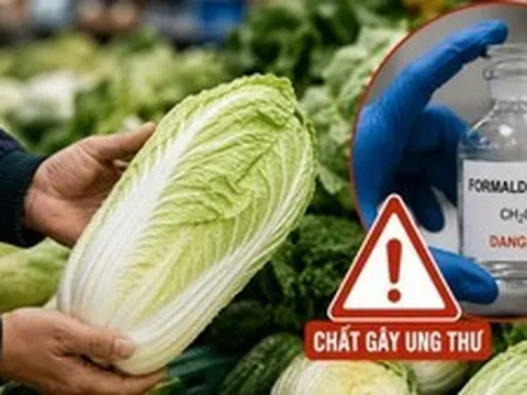 5 mẹo giúp bạn dễ dàng nhận biết cải thảo nhiễm formaldehyde