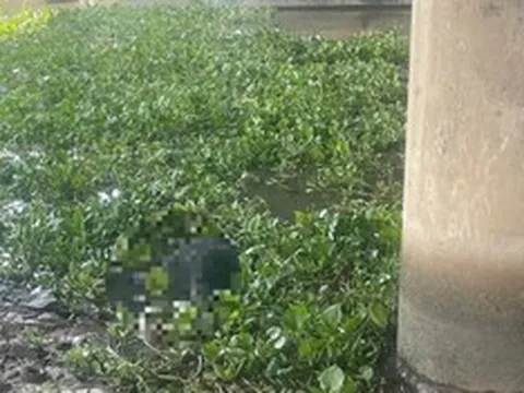 Phát hiện thi thể nam giới dưới chân cầu Bình Phước