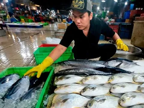 Giá cả đầu ngày: Thời tiết đẩy giá rau, thủy hải sản tăng, mít Thái phục hồi; lồng đèn thủ công lên ngôi