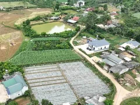 Xây nhà trên đất nông nghiệp gần 30 năm, xin chuyển sang đất ở có bị xử phạt?