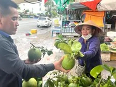 Giá cả đầu ngày: Giá bưởi rớt, heo nhập gây áp lực người chăn nuôi; bán lẻ chuyển sang trải nghiệm