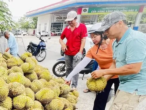 Giá cả đầu ngày: Sầu riêng hạ giá, gạo huyết rồng ổn định, hàng nhãn riêng giảm đến 42%