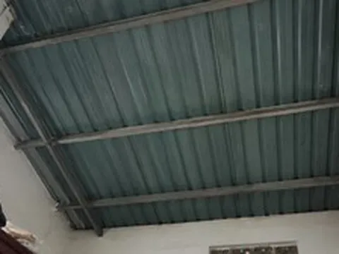 Lời khuyên cho những gia đình đang ở nhà mái tôn