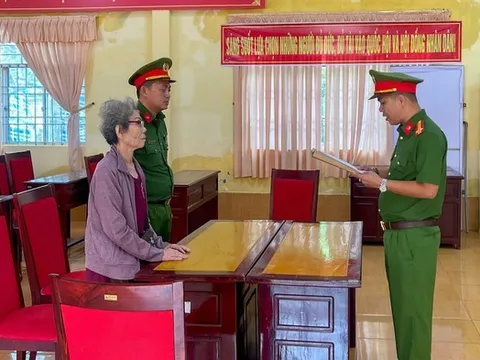 Bán đất 20 tỷ đồng nhưng khai 5 tỷ, cụ bà bị khởi tố