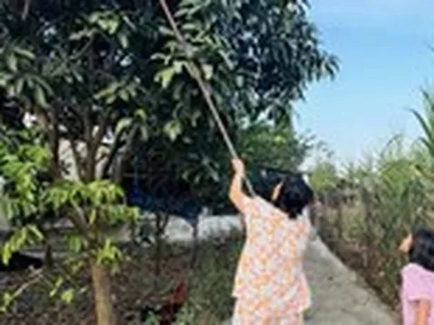 Nghỉ hưu sớm để được sống cuộc đời khác và được ở bên cha mẹ?