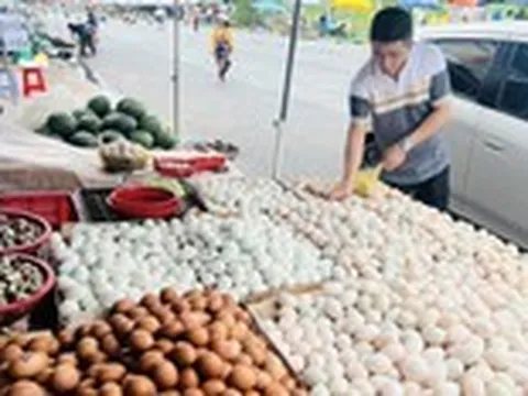 Giá cả đầu ngày: Trứng giảm, gà vịt quê lên mạng, xoài hữu cơ bán được giá
