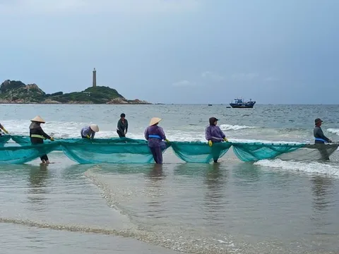 Lâm Đồng: Kết nối biển, sinh kế và du lịch để tạo động lực phát triển mới