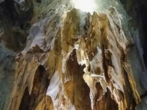 Phát hiện hang động nhiều tầng trong rừng nguyên sinh ở Nghệ An