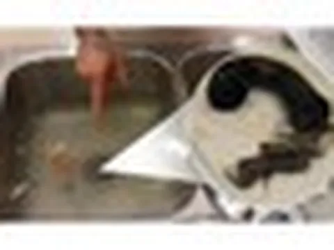 Giải pháp "thoát mùi" sau khi chậu rửa đã dọn sạch rác