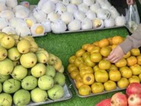 Giá cả đầu ngày: Cua biển xuống giá, người TP.HCM tranh thủ mua tận vựa; Hồng Đà Lạt về miền Tây giá từ 40.000 đồng/kg