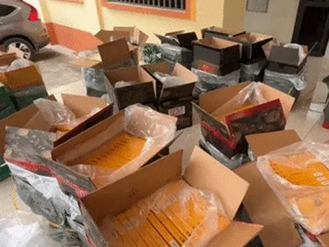 Phát hiện sự thật bên trong 34 thùng giấy khi chặn xe tải lúc rạng sáng