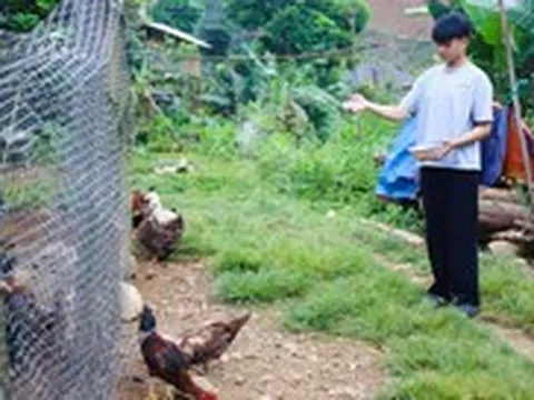 Mồ côi vì lũ cuốn mẹ 4km, tân SV dân tộc Thái về học thủ đô, chưa quen thang máy đã đi làm thêm
