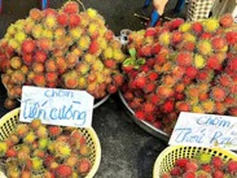 Giá cả đầu ngày: Cuối vụ, mận An Phước, chôm chôm Tiến Cường được giá
