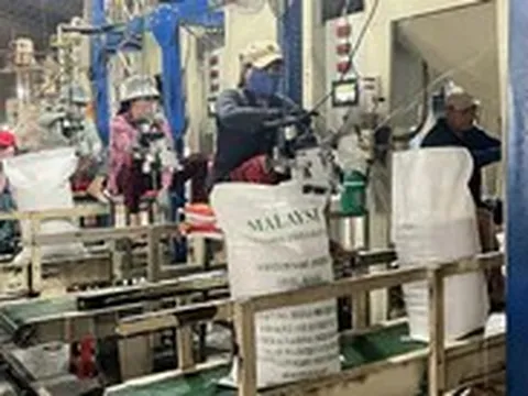 Doanh nghiệp xuất khẩu gạo được giảm điều kiện, bỏ lệ phí, rút thời gian cấp giấy