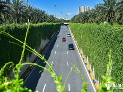Hà Nội thí điểm phủ xanh trụ đường sắt, hầm chui, cầu vượt