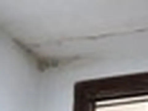 Lời khuyên cho các gia đình phát hiện vết nứt trên trần nhà