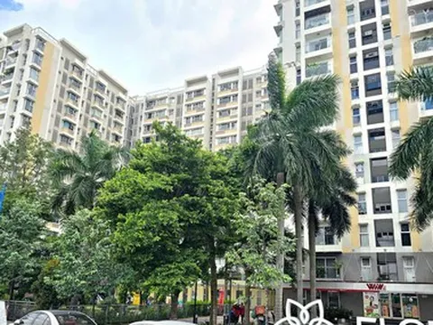 Ở chung cư nhiều năm, chưa từng được thông báo nộp thuế đất