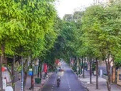 Một thành phố xanh không phải là thành phố giữ lại mọi cái cây