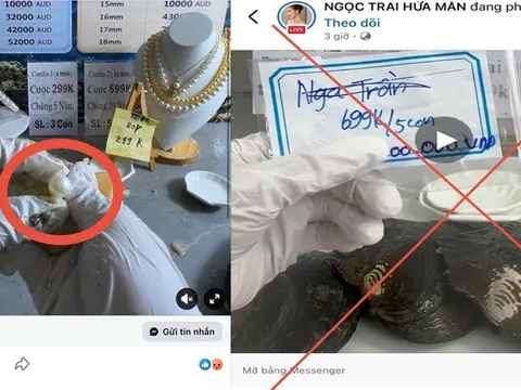 Cảnh báo thủ đoạn lừa đảo qua livestream "mở ngọc trai"