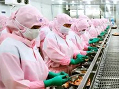 Chuyện lạ: Doanh nghiệp miền Tây đề xuất nhập khẩu lao động, nên không?