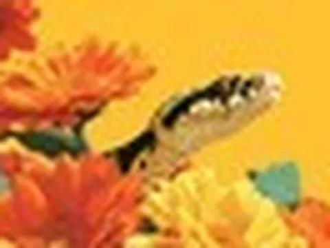 Lời khuyên cho 3 con giáp may mắn nhất ngày Chủ nhật, 18/10/2026