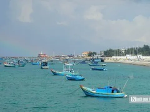 Lâm Đồng siết quản lý tàu cá, ngăn khai thác hải sản trái phép
