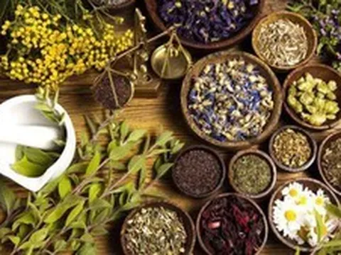 Xây dựng y học cổ truyền thành bộ phận quan trọng của hệ thống y tế quốc gia