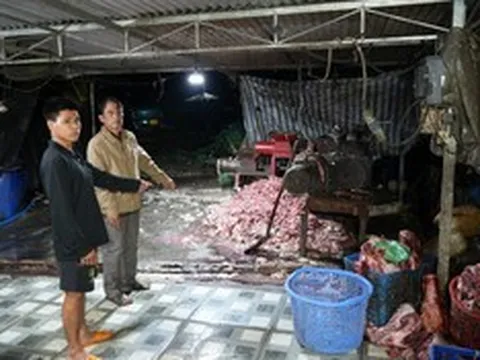 Triệt phá đường dây đưa 400 tấn thịt heo bệnh ra thị trường, thu lợi 10 tỷ đồng