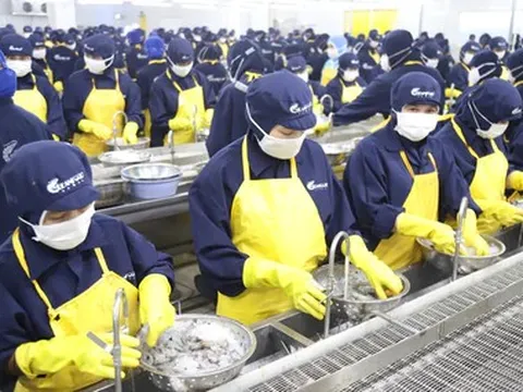Miền Tây thiếu lao động - Kỳ 2: Rèn tiếng Anh, tiếng Trung đón nhà máy tự động hóa