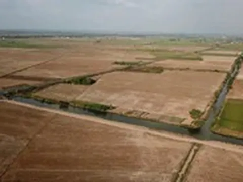 Xâm nhập mặn đến sớm, vào sâu 70-130km, làm gì để bảo vệ lúa và cây ăn trái ở miền Tây?