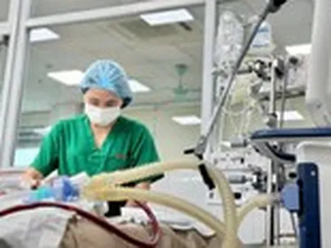 Sốt cao, rối loạn tiêu hóa, nam thanh niên nguy kịch vì sốt xuất huyết