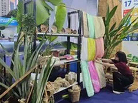 Vỏ tôm, vỏ thơm, vỏ dừa…  biến thành nguyên liệu triệu đô