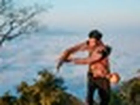 Phát hiện vùng núi cao 1.200m ở Việt Nam, có 1.400 cây cổ thụ, nhiều thân to như cột đình phủ kín rêu già
